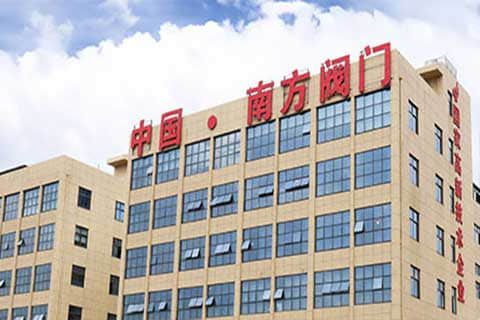 南方阀门集团外贸独立站建设与谷歌SEO/SEM